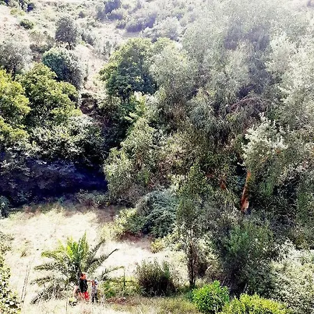 Serena * Sarrola-Carcopino